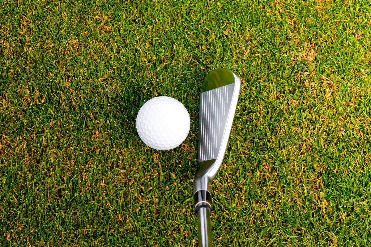 Miura CB-302 Iron